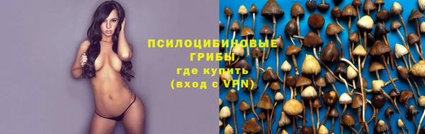 трава Белокуриха