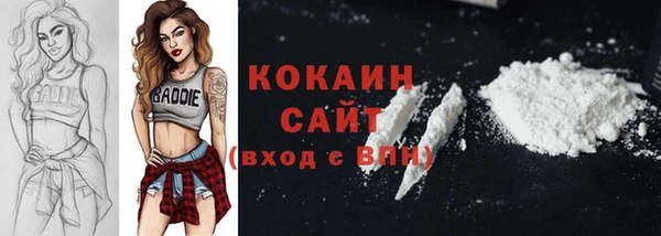 трава Белокуриха
