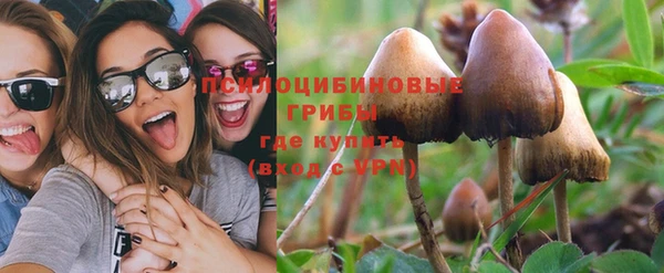 трава Белокуриха