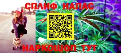 стафф Кандалакша
