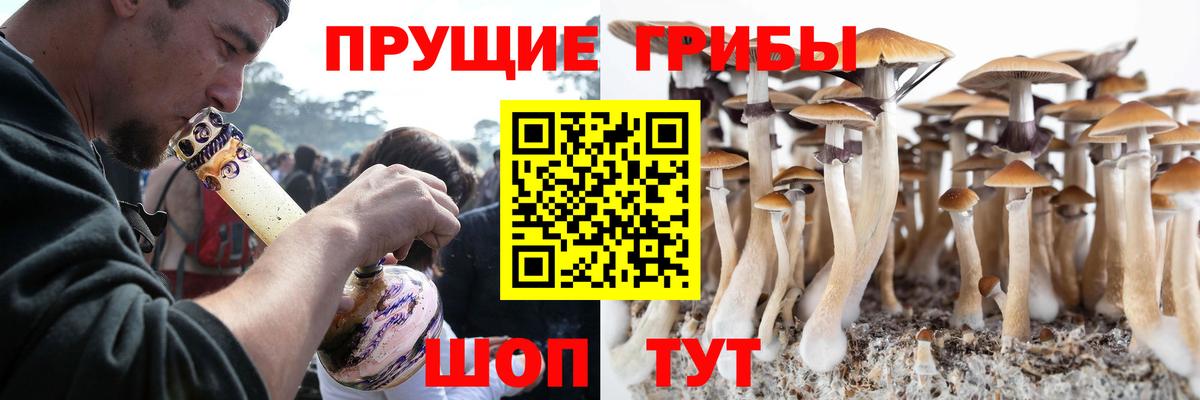 Галлюциногенные грибы Magic Shrooms  Вход с VPN  купить наркотики сайты  Луховицы 